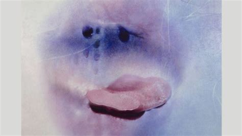 naked grandma|Sex positivity after 70: Marilyn Minter’s sensual photographs of ...